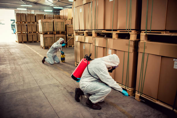 Best Insect Control  in Tukwila, WA