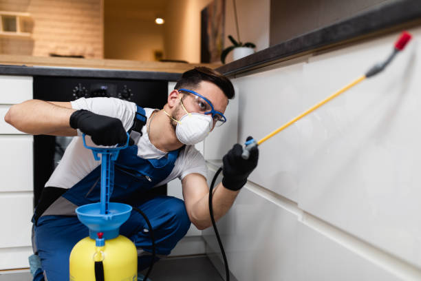 Best Termite Control Services  in Tukwila, WA