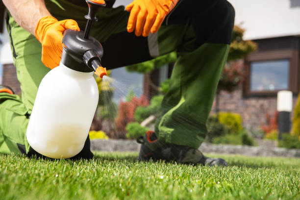 Best Commercial Pest Control Services  in Tukwila, WA