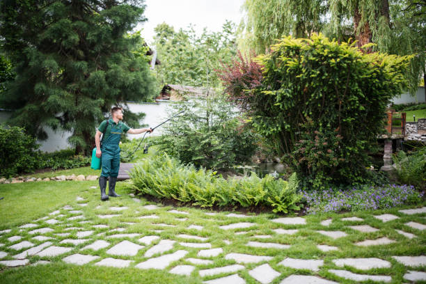 Best Affordable Pest Control Services  in Tukwila, WA