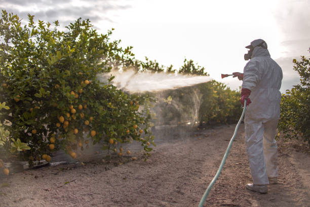 Best Wildlife Control Services  in Tukwila, WA