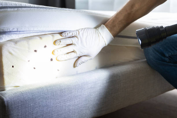 Best Pest Removal Services  in Tukwila, WA