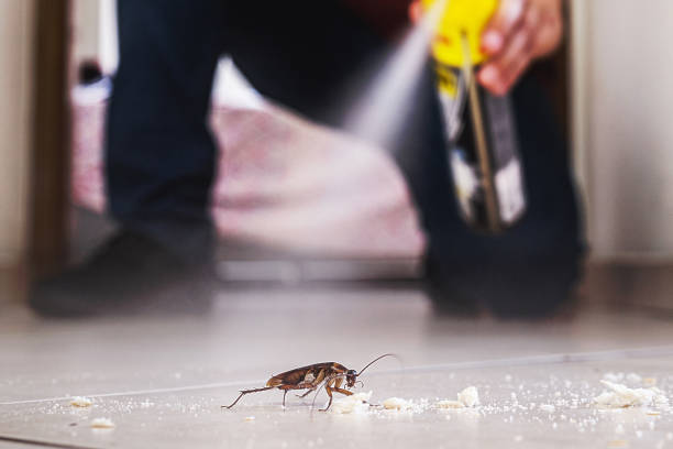 Best Cockroach Control Services  in Tukwila, WA