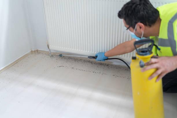 Best Pest Prevention Services  in Tukwila, WA