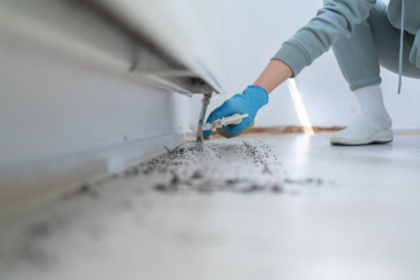 Best Best Pest Control Companies  in Tukwila, WA